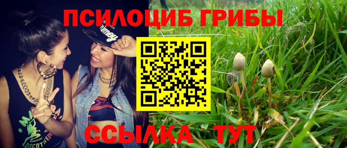 Вичуга  Псилоцибиновые грибы ЛСД  Галлюциногенные грибы прущие грибы  Вход с VPN 