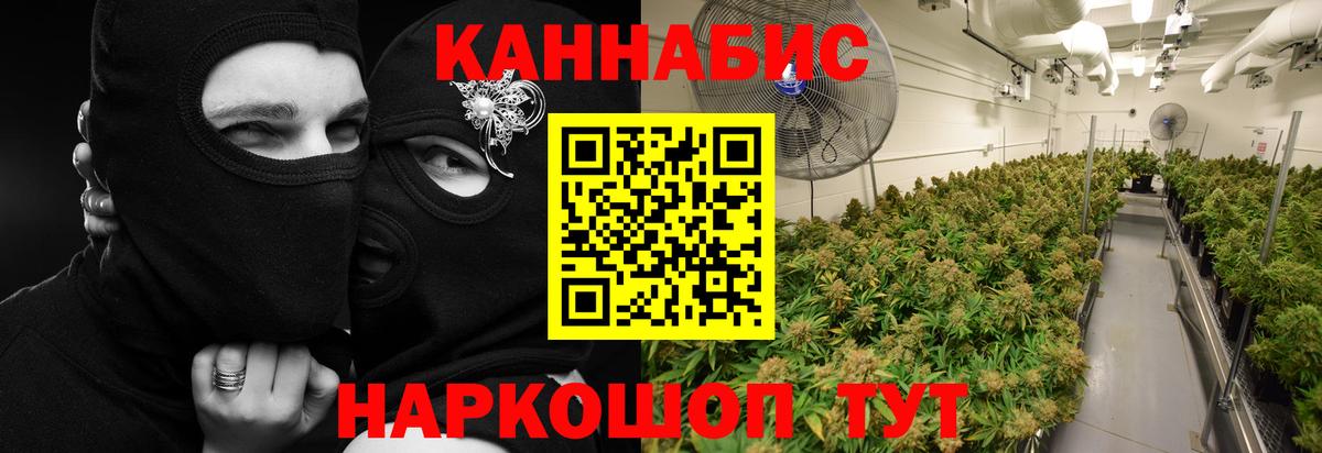 Бошки Шишки марихуана Вичуга